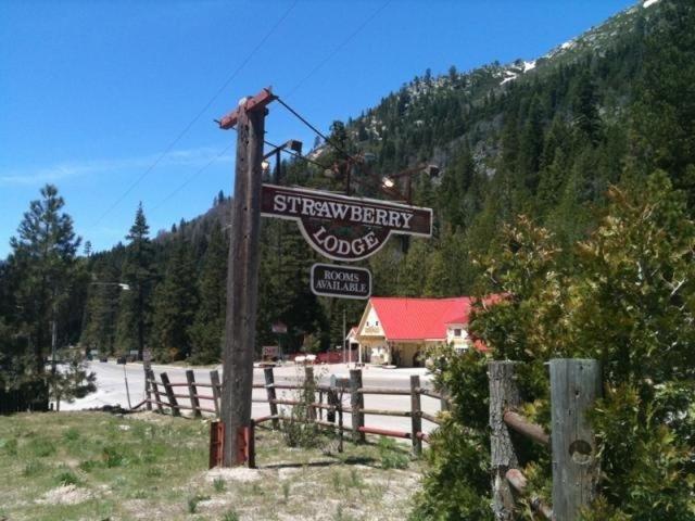 Strawberry Lodge Upper Forni Εξωτερικό φωτογραφία